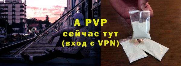 индика Белоозёрский