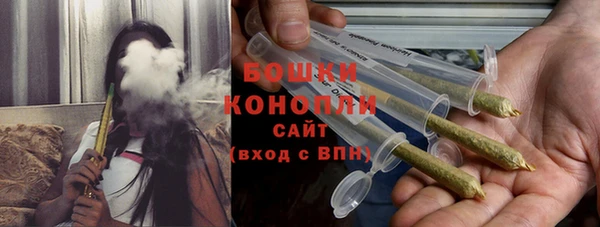 индика Белоозёрский