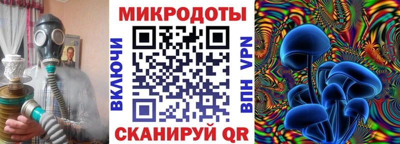 Псилоцибиновые грибы Magic Shrooms  купить   Шатура 
